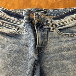 Express Classic Blue Jeans